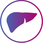 liver icon liver icon