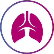 lung icon